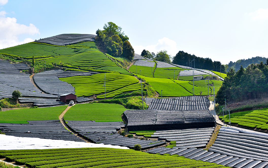 価格改定のお知らせ